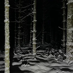 soul with snow