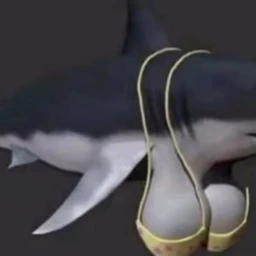 #SH00T