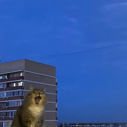 влюблены