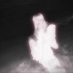 Dear Angel
