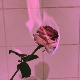 illusion