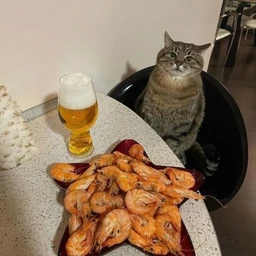 мистер пиво