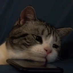 although not sad