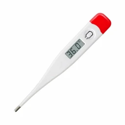 THERMOMETER