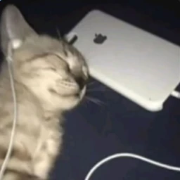 777