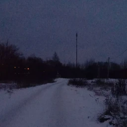 LonlDark