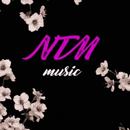 NETIM