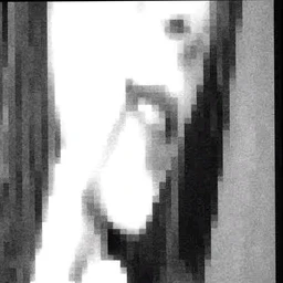 4238