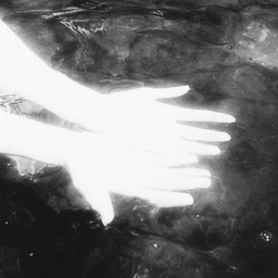 north