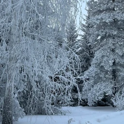 winter