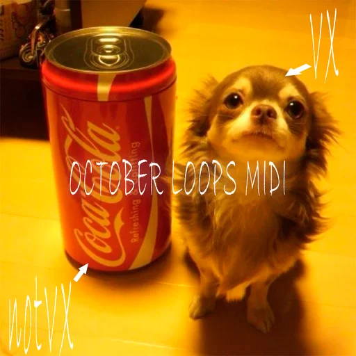 OCTOBER LOOPS MIDI VXHARDMUSIX