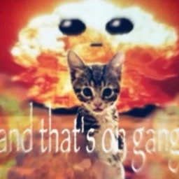 mom get the camera