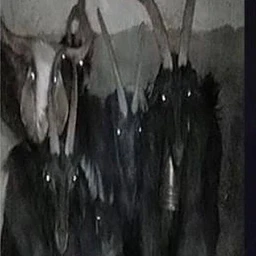 Project_deat6