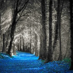 ! 99_Forest 180bpm A#major