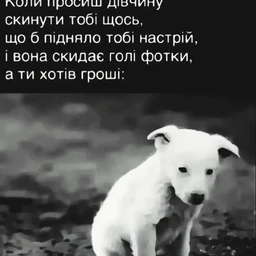 sochniy