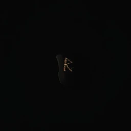 Raido