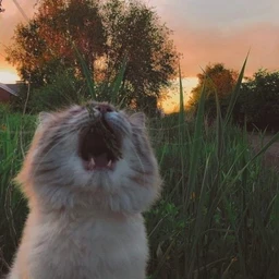 клевый закат