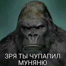 boss