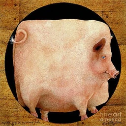 pluu