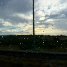 CALM