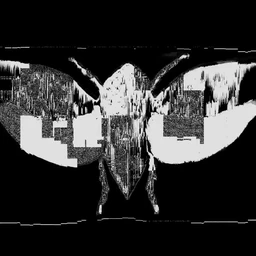 haters