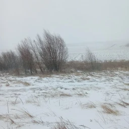 весной