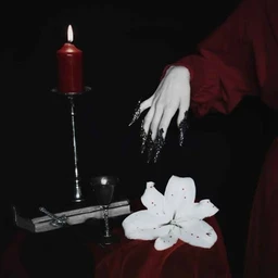 Vampire Book / euro91 x fleur