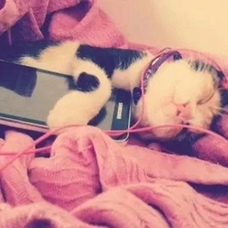 offline
