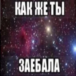 ПОРНУХА