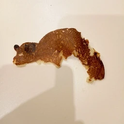 sad pancakes
