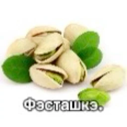 fistashki