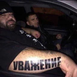 JlecHble 9rogbl
