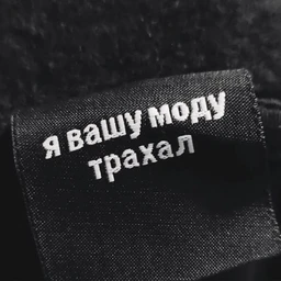 ne nayti