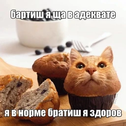 cook it up