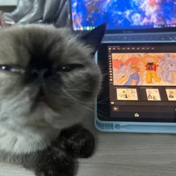 popitka v digicore