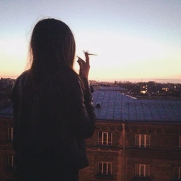 fallen rooftops