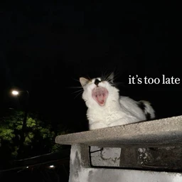 2L8