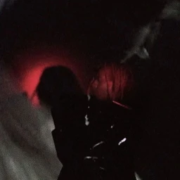 #313