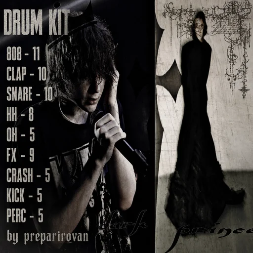 ТЕМНЫЙ ПРИНЦ x TEWIQ x MADK1D x VILLIAN DRUM/STASH KIT
