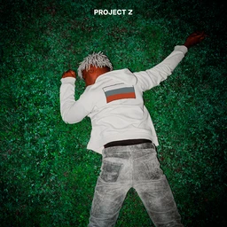 project z