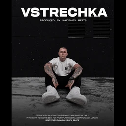 VSTRECHKA