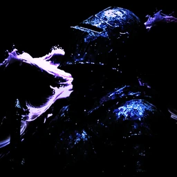 DTTK STELLAR MEMORISES