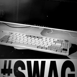 MONSTERSWAG