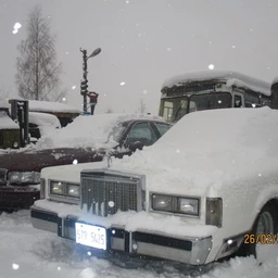 #coldfront
