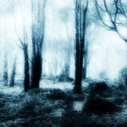 shadows of a ruined world