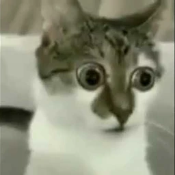 майнкрафт