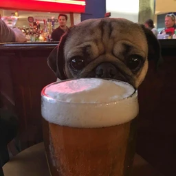at the club