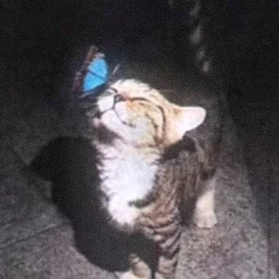 Грязь
