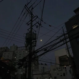 wondering in the night