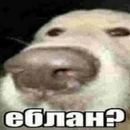 голосовое сообщение